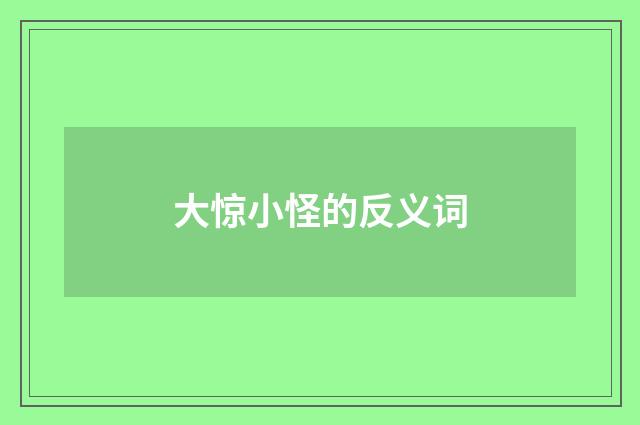 大惊小怪的反义词