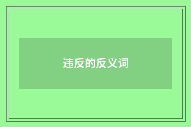 违反的反义词