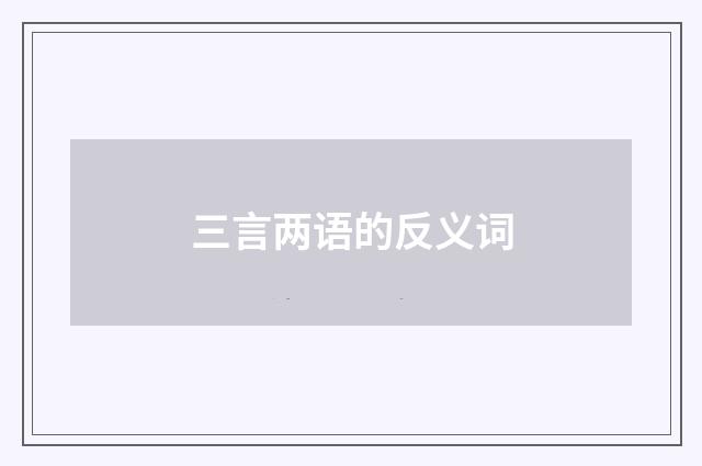 三言两语的反义词