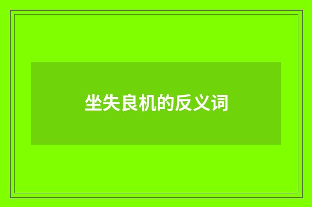 坐失良机的反义词
