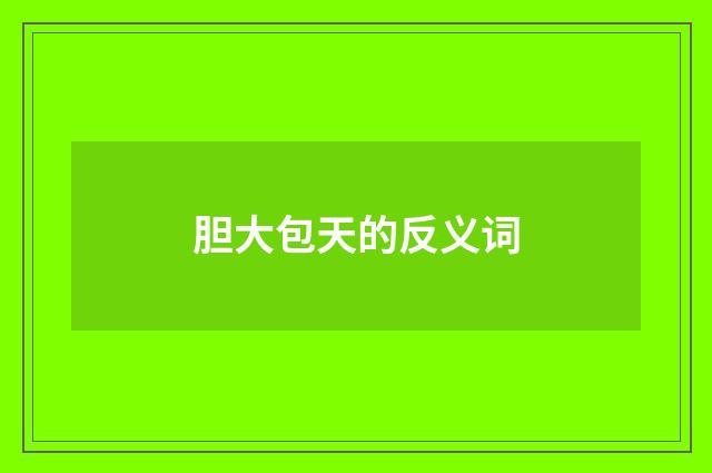 胆大包天的反义词