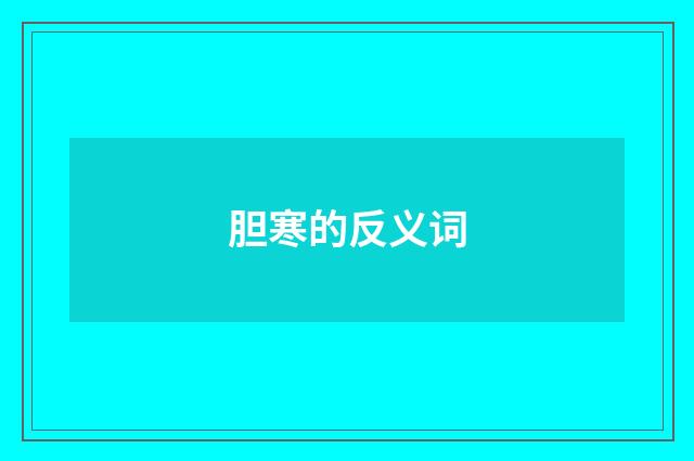 胆寒的反义词