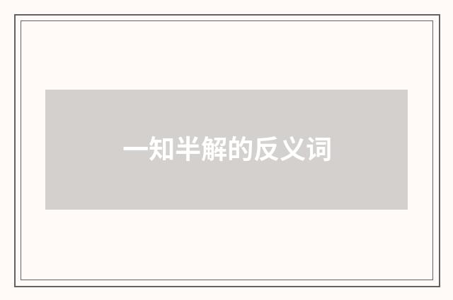 一知半解的反义词
