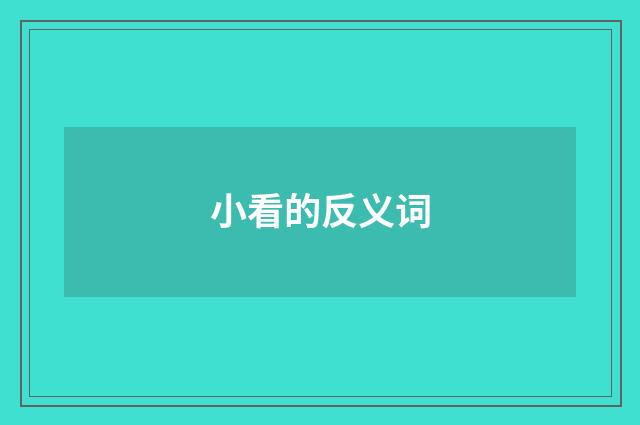 小看的反义词