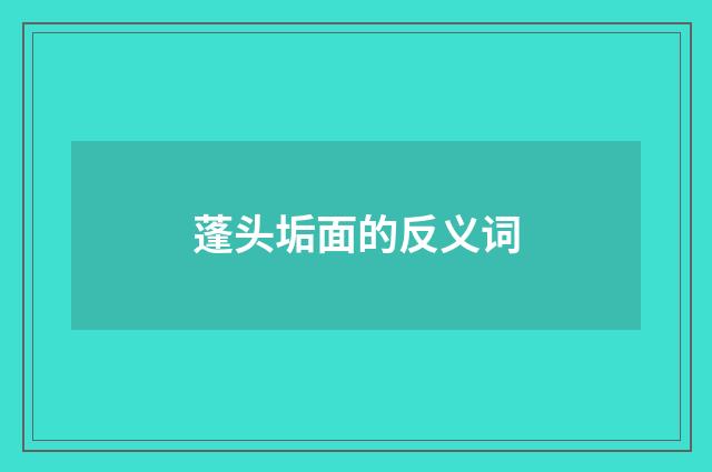 蓬头垢面的反义词