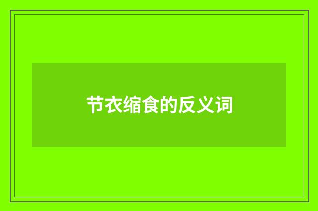 节衣缩食的反义词