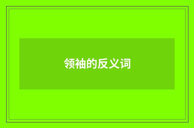 领袖的反义词