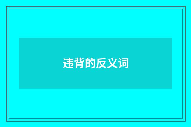 违背的反义词