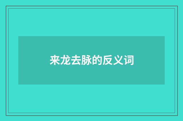 来龙去脉的反义词