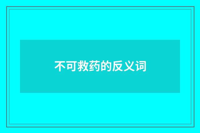 不可救药的反义词