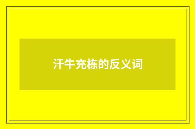 汗牛充栋的反义词