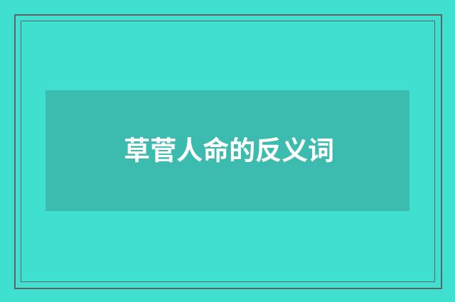 草菅人命的反义词