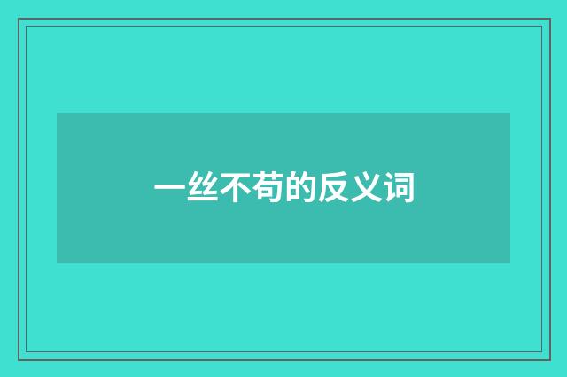 一丝不苟的反义词