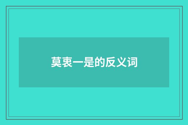 莫衷一是的反义词