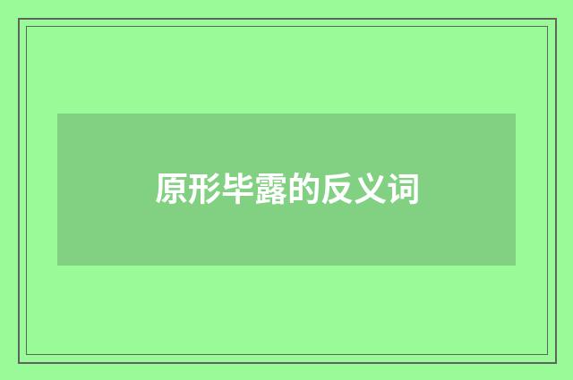 原形毕露的反义词