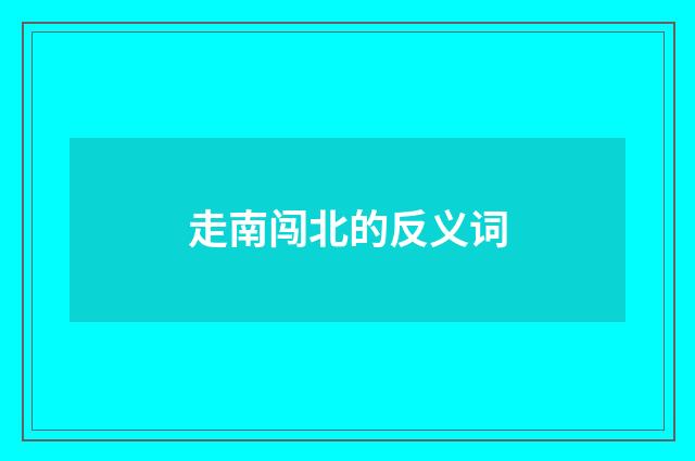 走南闯北的反义词