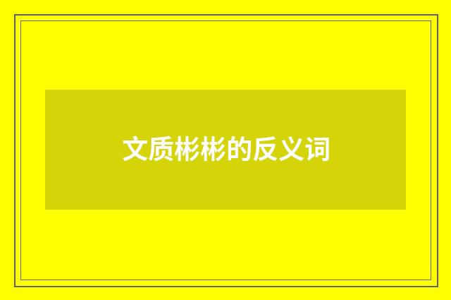 文质彬彬的反义词