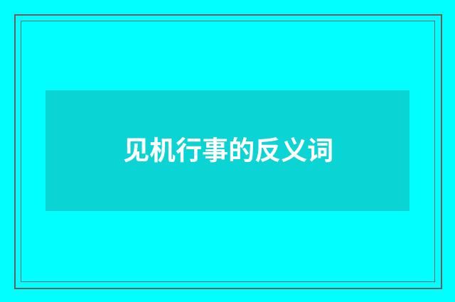 见机行事的反义词