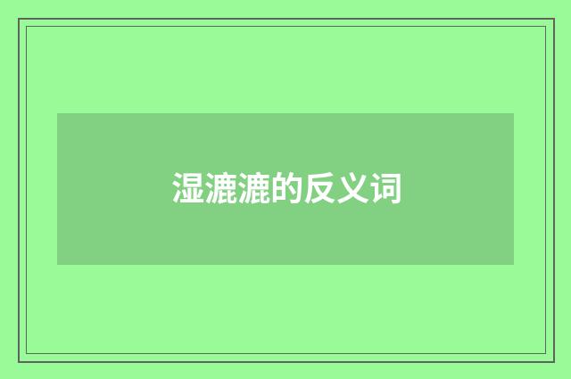 湿漉漉的反义词