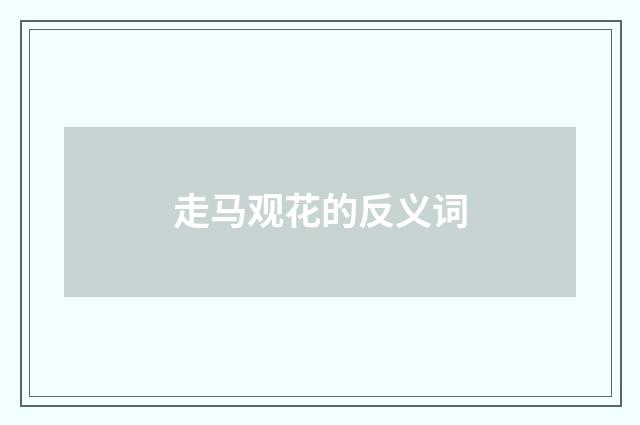 走马观花的反义词