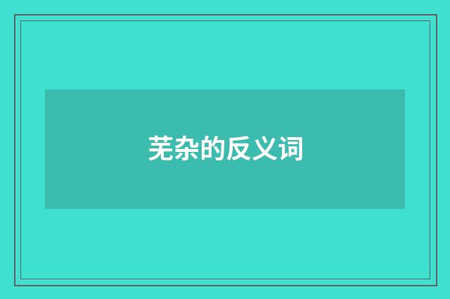 芜杂的反义词