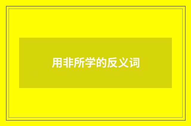 用非所学的反义词