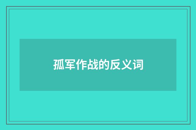 孤军作战的反义词