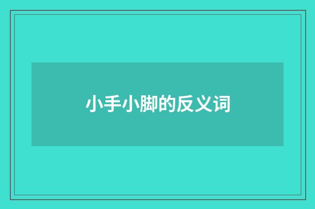 小手小脚的反义词