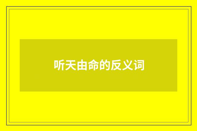 听天由命的反义词