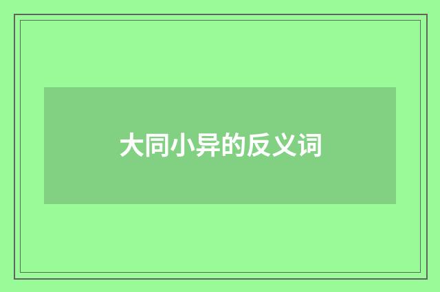 大同小异的反义词