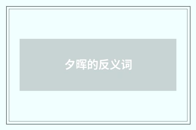 夕晖的反义词