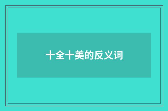 十全十美的反义词