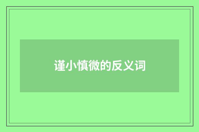 谨小慎微的反义词