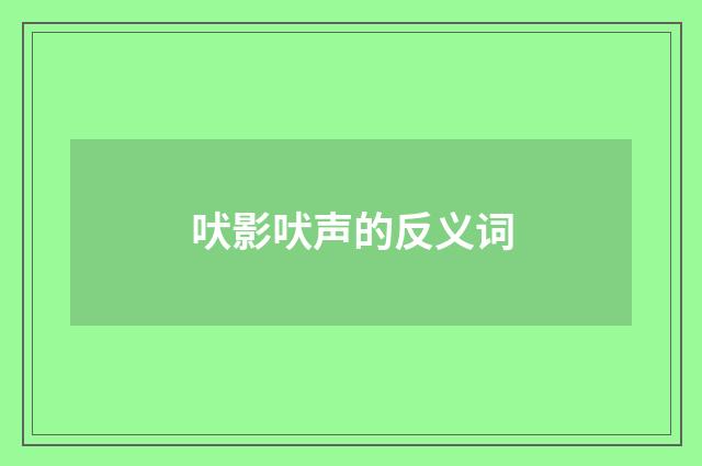 吠影吠声的反义词