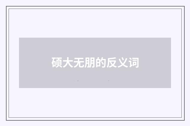 硕大无朋的反义词