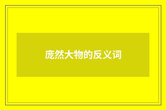 庞然大物的反义词