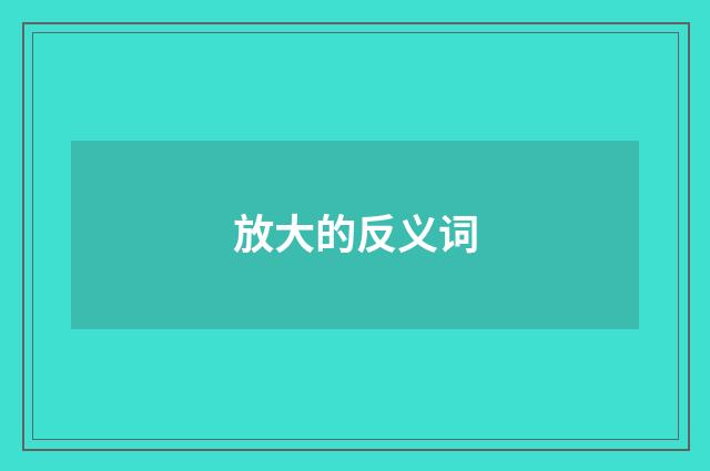 放大的反义词