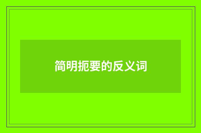 简明扼要的反义词