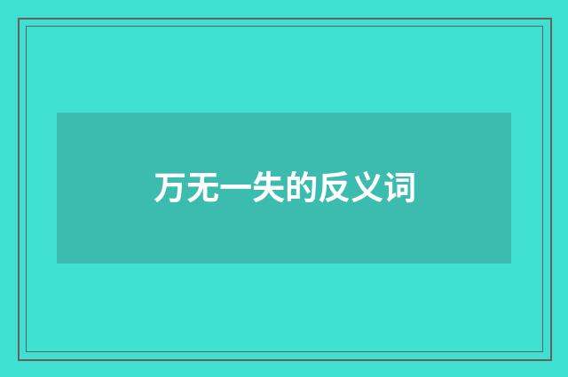 万无一失的反义词