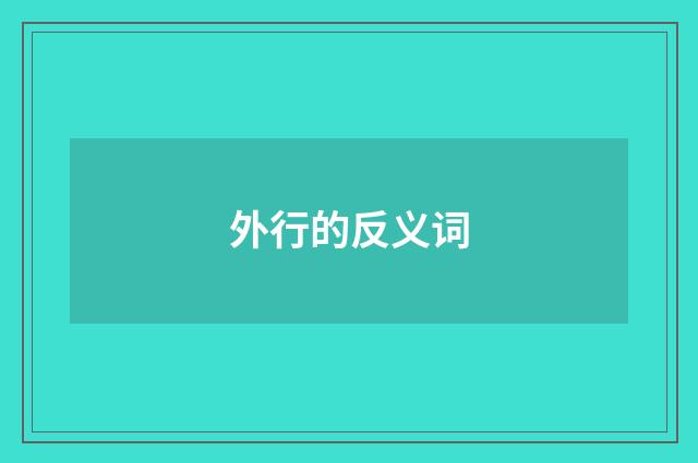外行的反义词