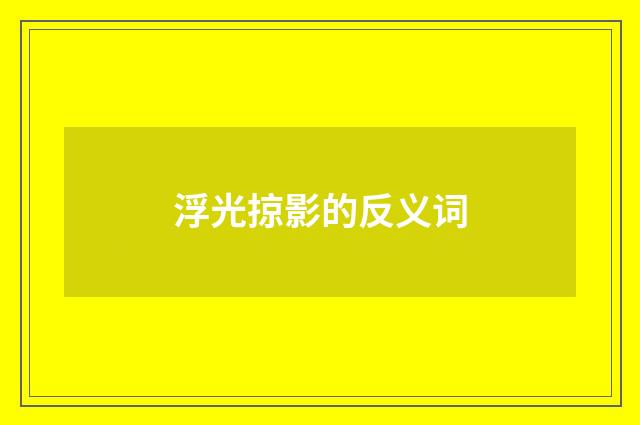 浮光掠影的反义词