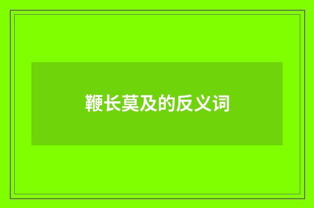 鞭长莫及的反义词