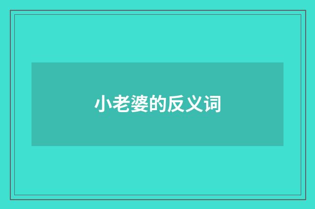 小老婆的反义词