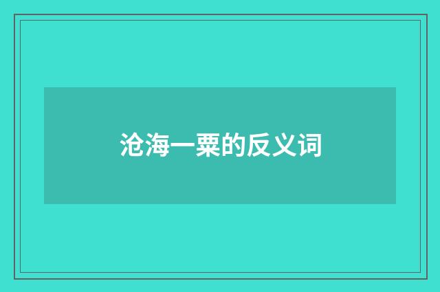 沧海一粟的反义词