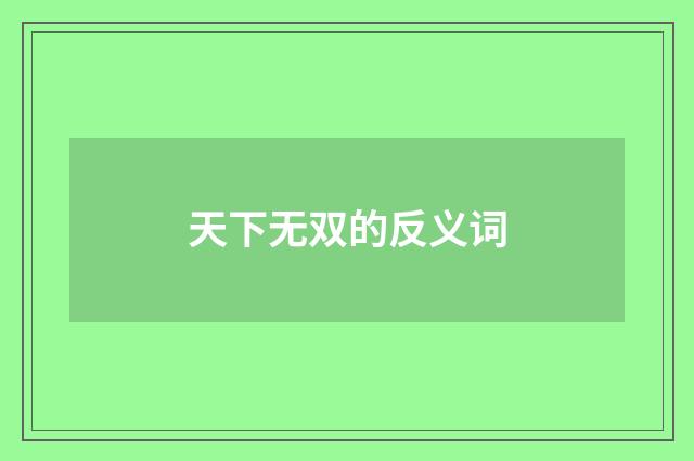 天下无双的反义词