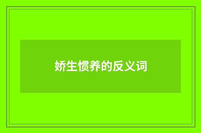 娇生惯养的反义词