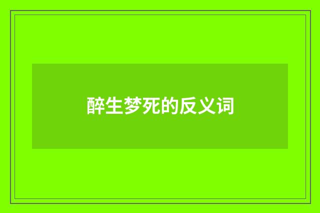 醉生梦死的反义词