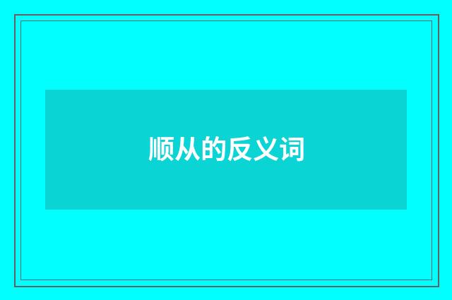 顺从的反义词