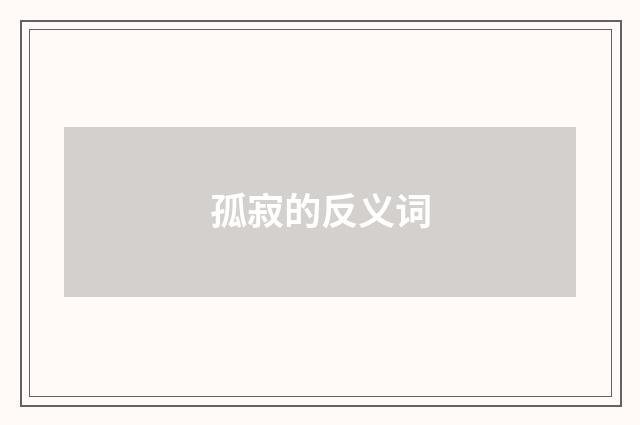 孤寂的反义词