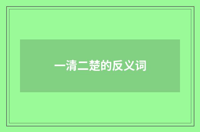 一清二楚的反义词